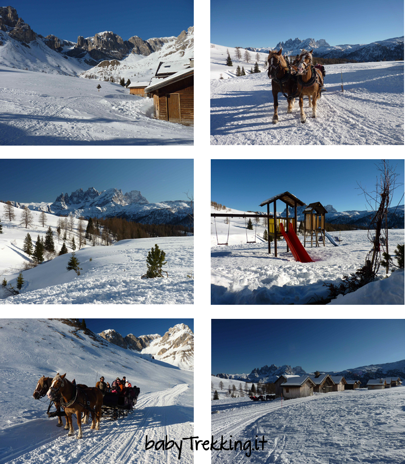 Vacanze sulla neve per grandi e picccini al Passo San Pellegrino