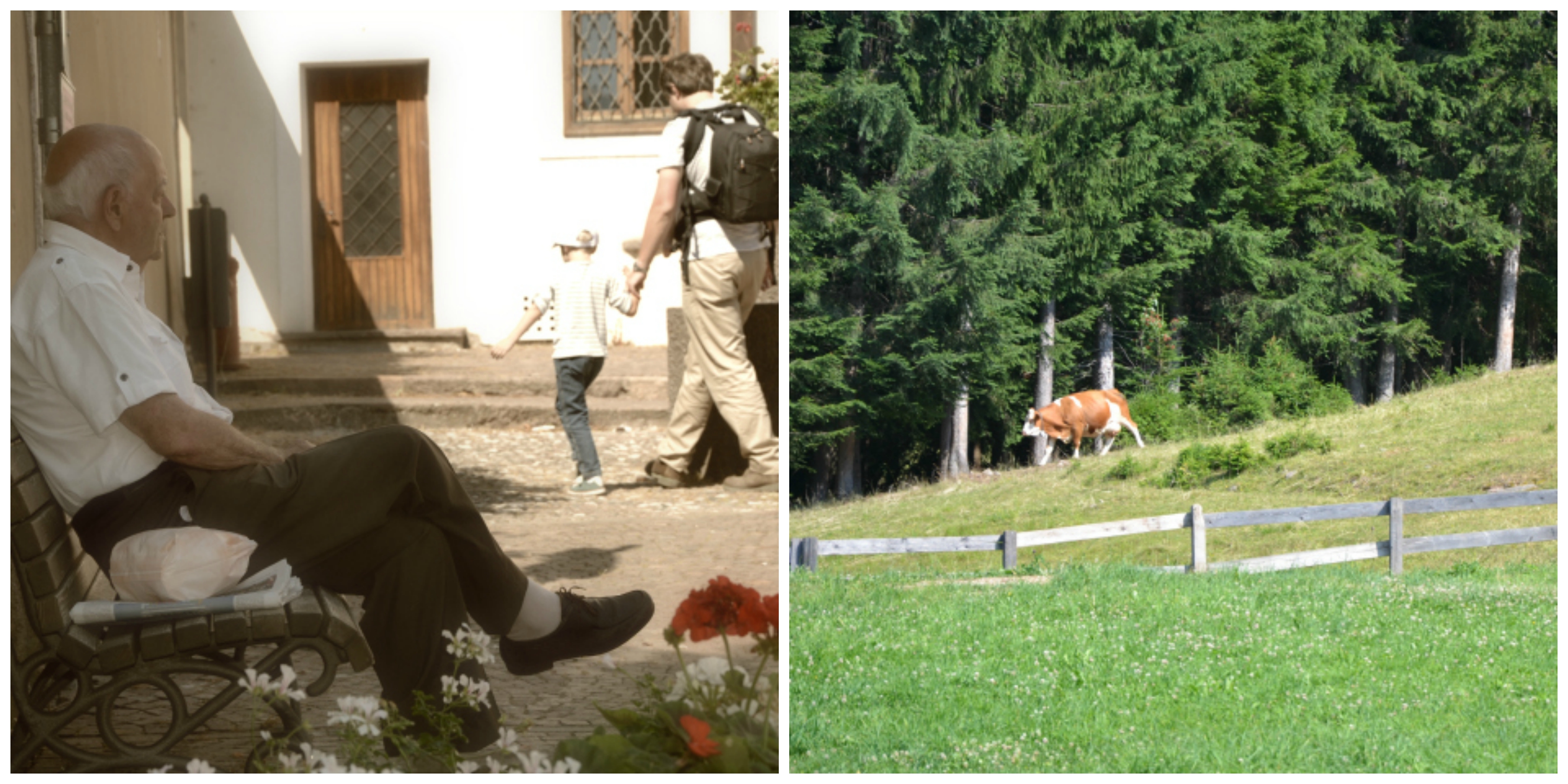 Cavalese, un weekend coi bambini tra le Dolomiti