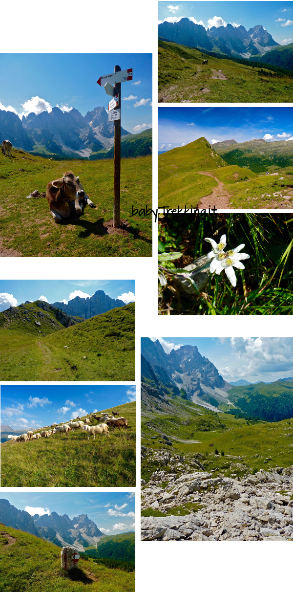 Rifugio Mulaz da Passo Valles, un trekking spettacolare 