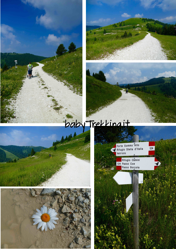 Rifugio Stella d'Italia da Passo Coe: col passeggino sull'Alpe Cimbra