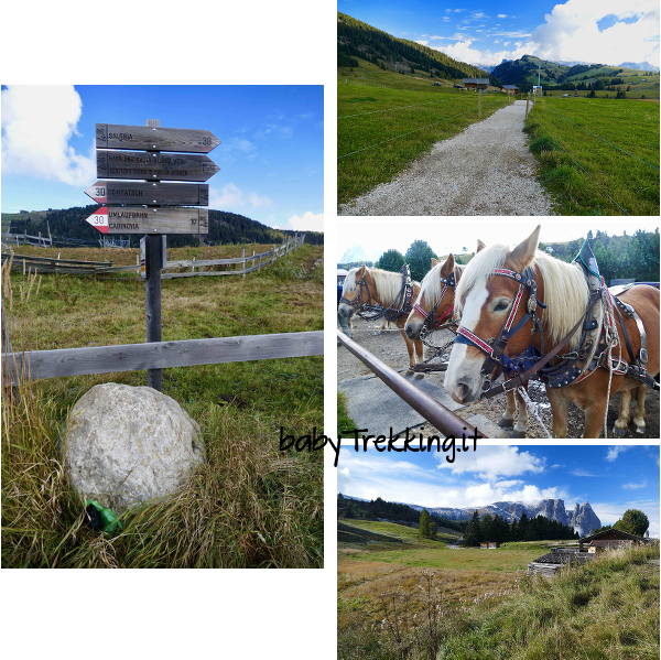 Rifugio Sanon: alla scoperta dell'Alpe di Siusi col passeggino