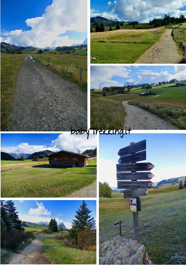 Rifugio Sanon: alla scoperta dell'Alpe di Siusi col passeggino