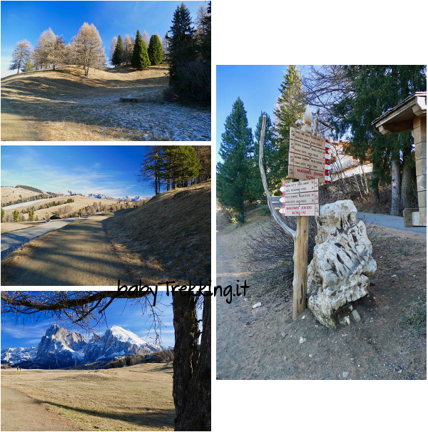 Rauchhutte, Alpe di Siusi per bambini (a portata di passeggino)