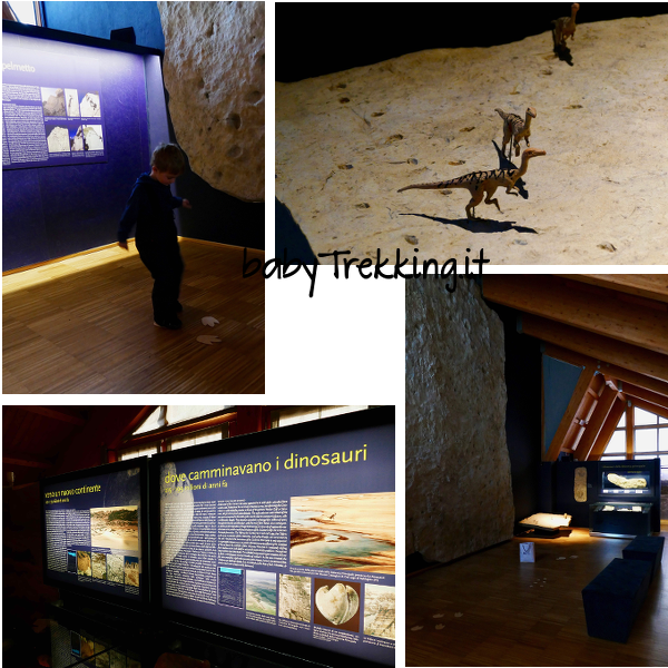 Museo Vittorino Cazzetta di Selva di Cadore: un tuffo nella preistoria
