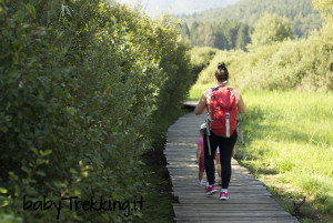 Trekking a Comano Valle Salus: tante proposte per bambini!