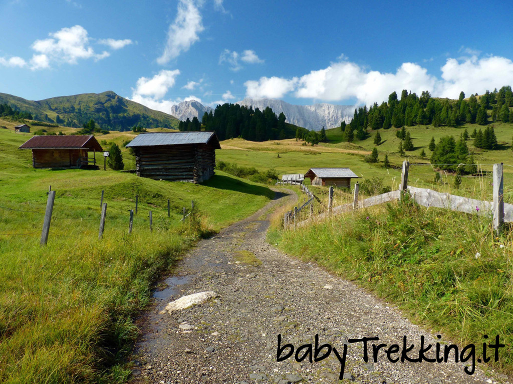 Rifugio Zallinger, coi bambini tra i verdi prati dell'Alpe di Siusi