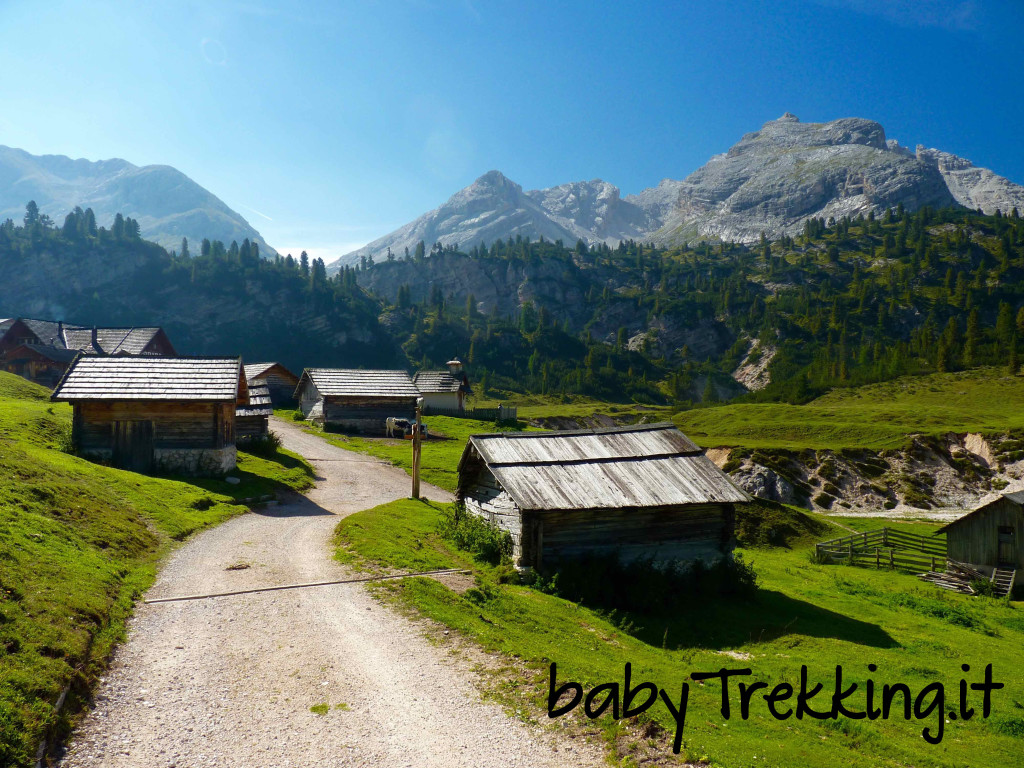 Rifugio Fodara Vedla, alla scoperta degli alpeggi coi bambini