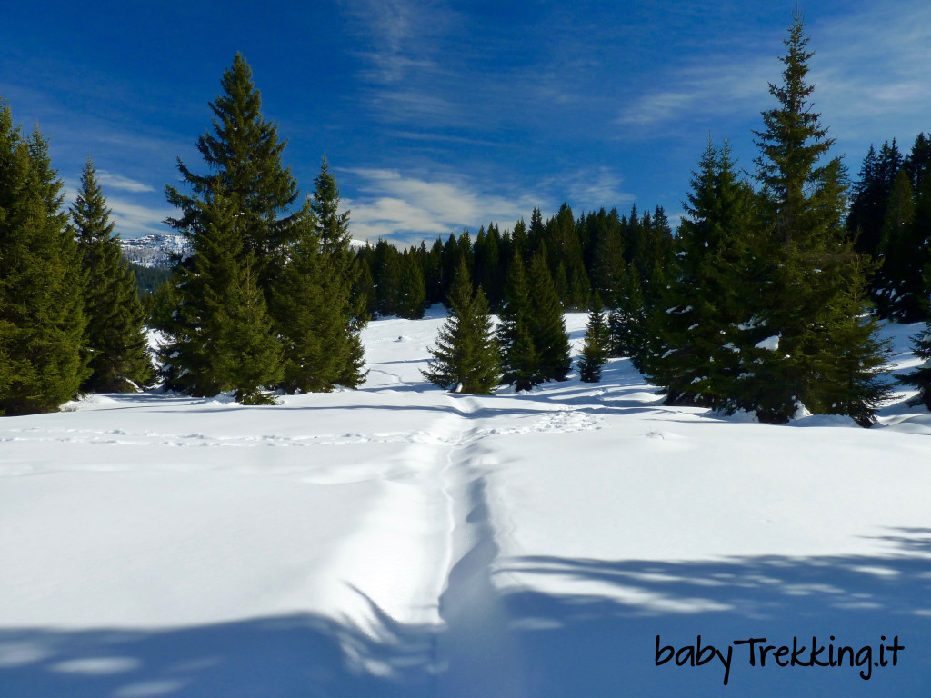 Bambini e ciaspole a Passo Coe, sull'Alpe Cimbra con la neve