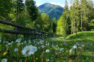 Val Concei coi bambini: sul sentiero naturalistico in passeggino