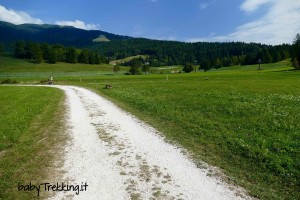 Torbiera di Echen, sull'Alpe Cimbra in passeggino alla scoperta del biotopo