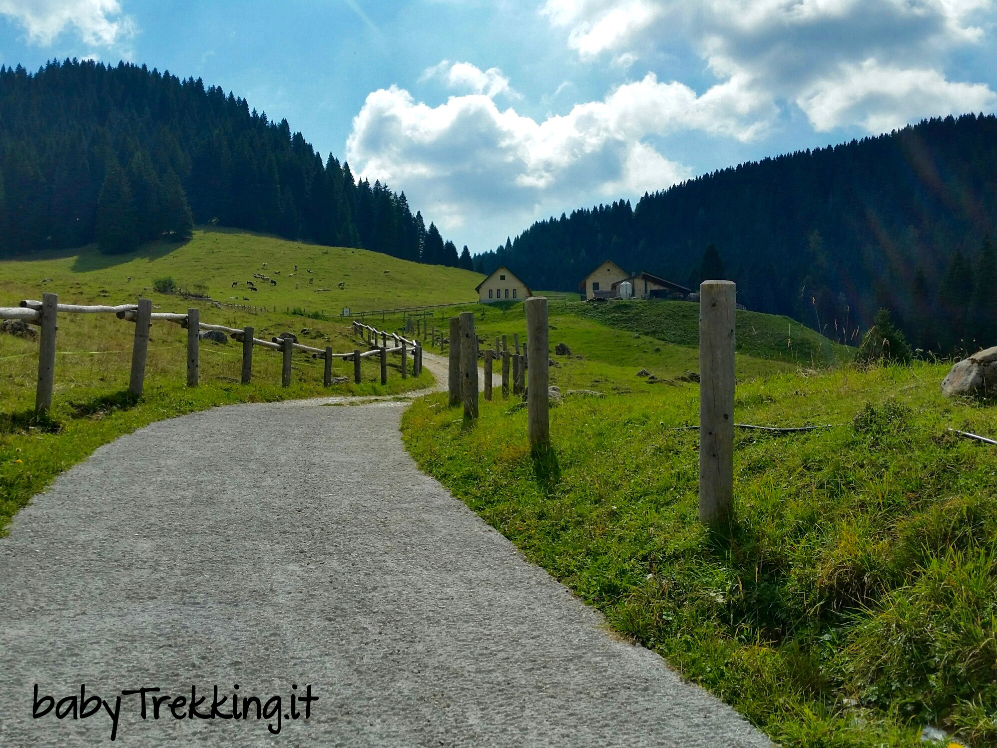 Alpe Cimbra e bambini: a Malga Vallorsara col passeggino