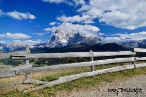 Malga Laranzer Schwaige, a spasso per l'Alpe di Siusi in passeggino