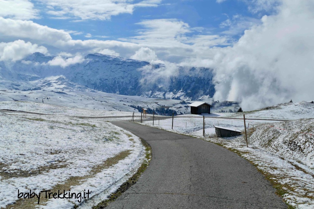 Da Compatsch a Puflatsch - Bulacia: sull'Alpe di Siusi in passeggino