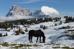 Rifugio Sanon: alla scoperta dell'Alpe di Siusi col passeggino