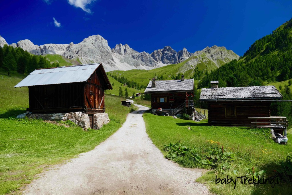 Malga ai Lach: coi bambini tra Valfredda e valle del Biois