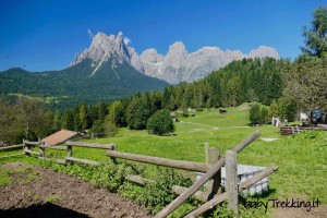 Agritur Dalaip dei Pape: trekking con gli asinelli e magica vista sulle Pale