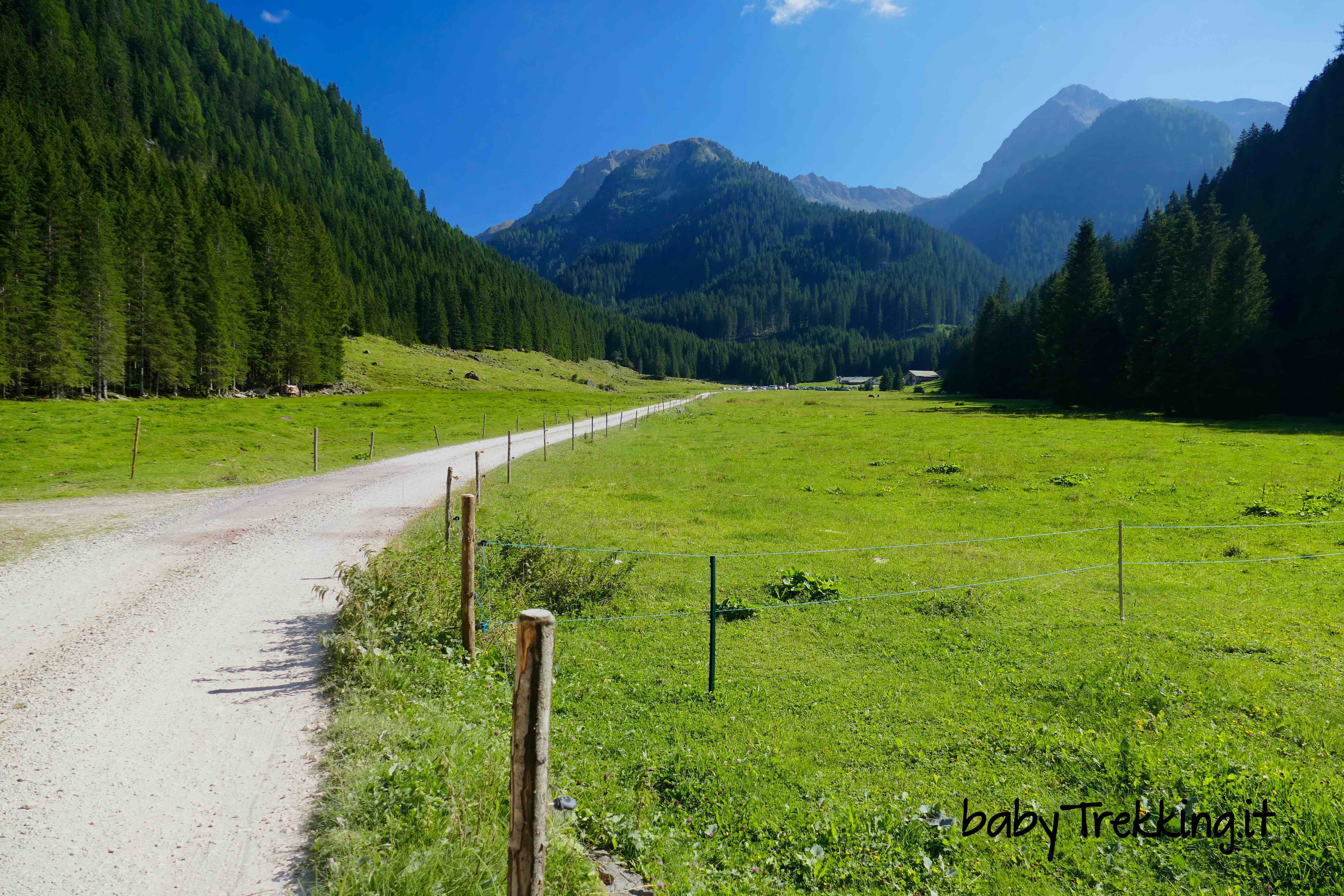 Malga Valmaggiore, col passeggino alla scoperta della Val di Fiemme