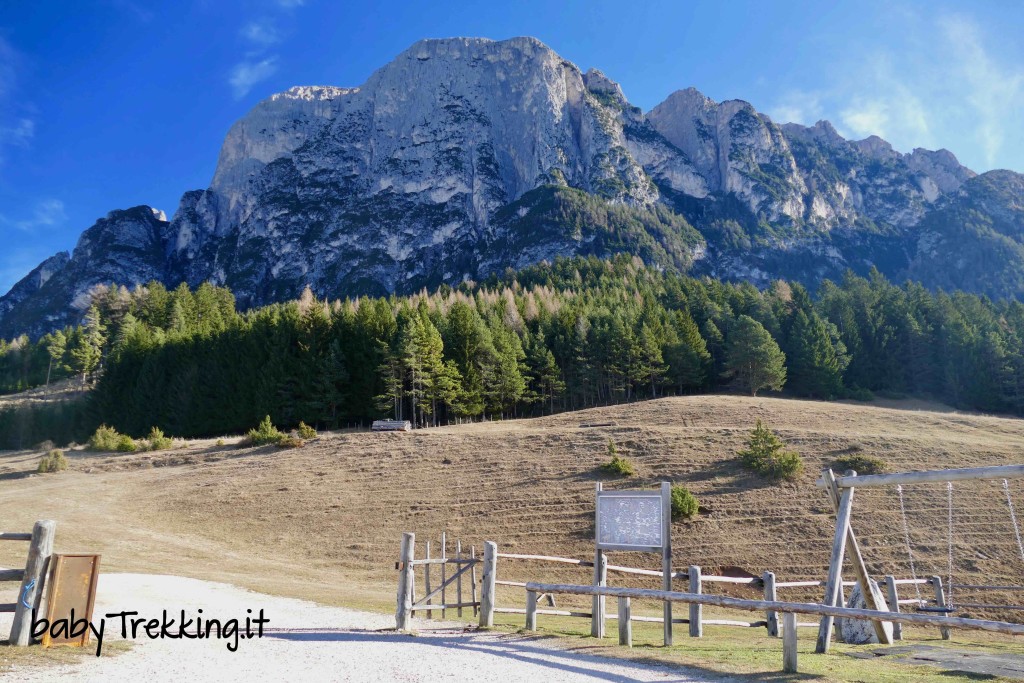 Tuffalm, la malga più bella dell'Alto Adige: sotto lo Sciliar coi bambini