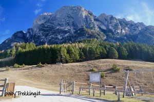 Tuffalm, la malga più bella dell'Alto Adige: sotto lo Sciliar coi bambini