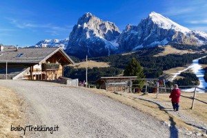 Rauchhutte, Alpe di Siusi a portata di passeggino (e che panorami!)