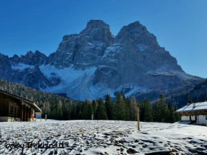 Al Rifugio Aquileia da Pescul: coi bambini nel bosco innevato