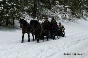 Gita in slitta nei boschi di San Martino di Castrozza: che magia per i bambini!