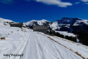 In inverno sull'Alpe di Pampeago, coi bambini in mezzo alla neve