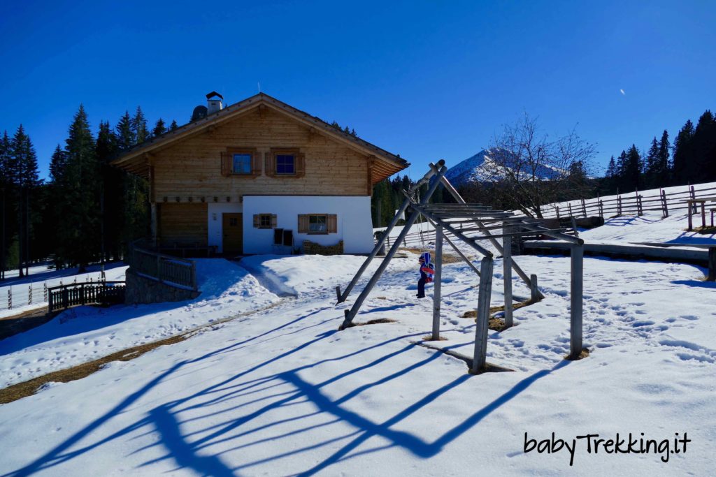 Con le ciaspole dal Passo di Lavazè a Malga Costa, incanto bianco per bambini