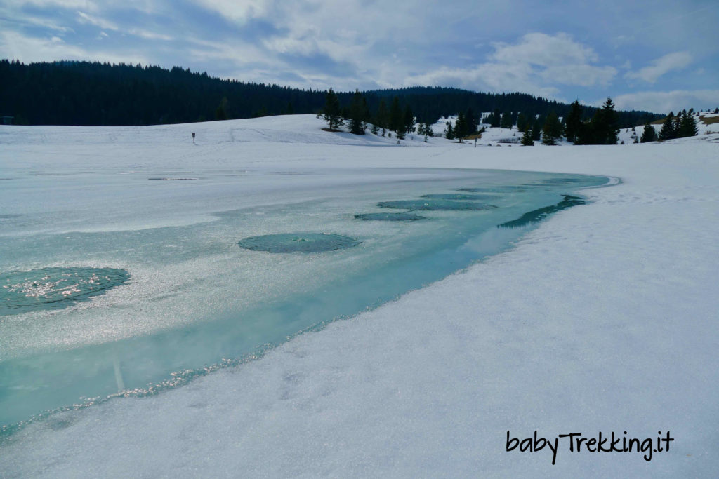 Al lago coe in inverno coi bambini, relax passeggiate e sleddog tra la neve