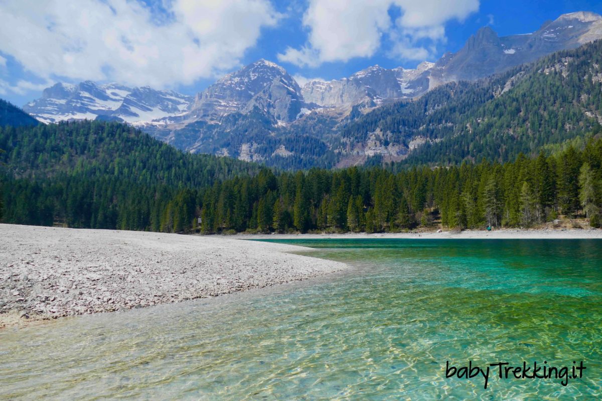 Lago di Tovel coi bambini: il gioiello della Val di Non nel Parco Naturale Adamello Brenta
