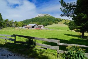 Gurndinalm