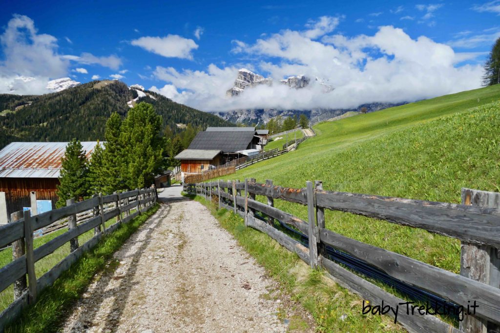 Il sentiero dei larici, percorso didattico per bambini in Alta Badia