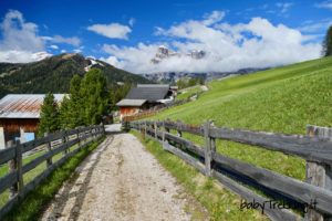 Il sentiero dei larici, percorso didattico per bambini in Alta Badia