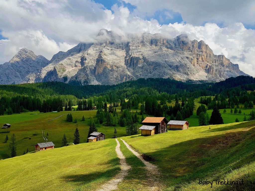 Dai prati dell'Armentara al Rifugio La Crusc: coi bambini in Alta Badia