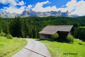 Col passeggino ad Hagneralm, la malga più bella di fronte al Catinaccio