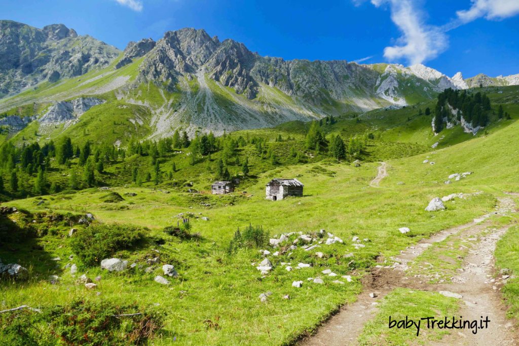 Rifugio Vallaccia, coi bimbi tra i verdissimi pascoli del Monzoni