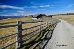 Val Pusteria coi bambini: sull'Alpe di Rodengo col passeggino