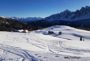 Malga Klammbachalm: con le ciaspole tra le Dolomiti della Val Pusteria