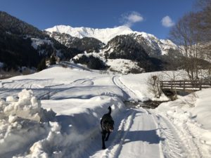 Giro della Val Ridanna, anello panoramico immersi nella neve