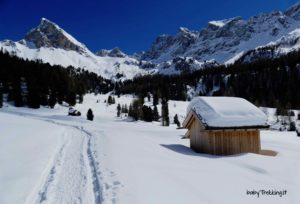 Valle San Nicolò con le ciaspole, bianchi silenzi in Val di Fassa