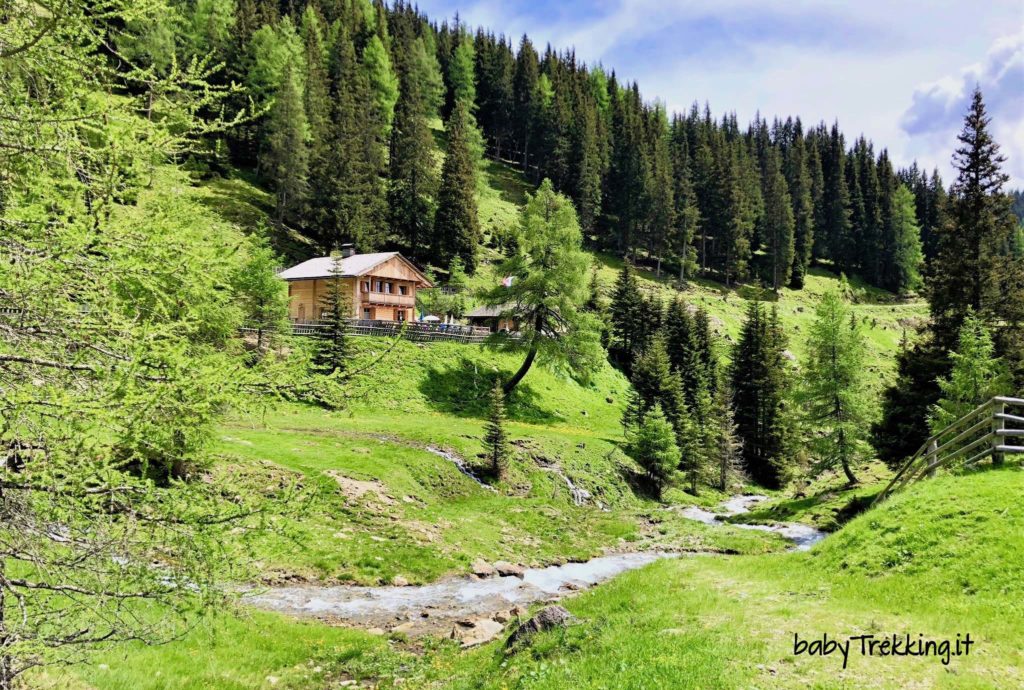 Malga San Silvestro: nella valle incantata con passeggino e cani