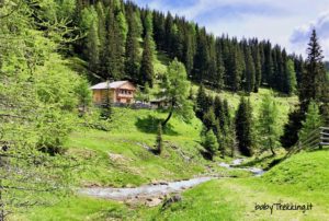 Malga San Silvestro: nella valle incantata con passeggino e cani