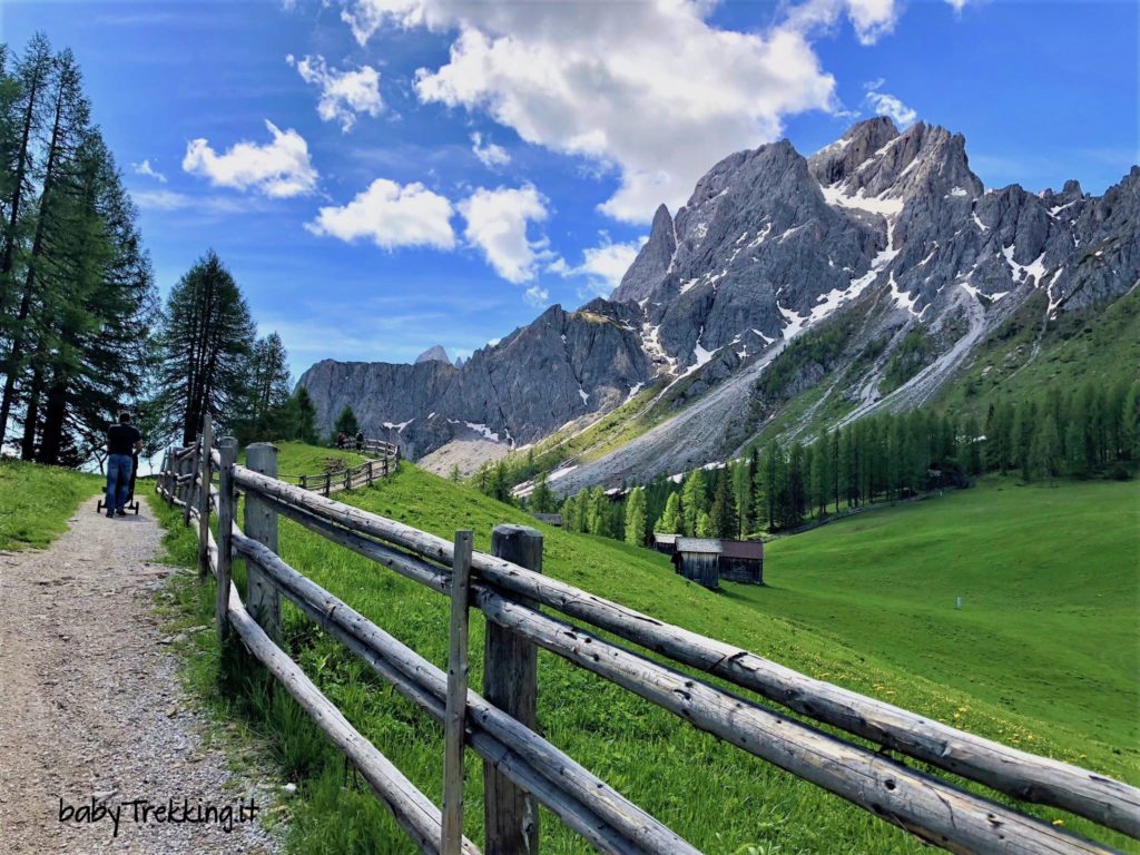 Prati di Croda Rossa: col passeggino ai piedi delle Dolomiti di Sesto