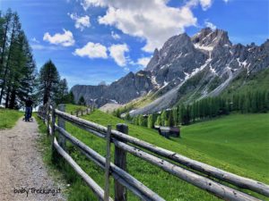 Prati di Croda Rossa: col passeggino ai piedi delle Dolomiti di Sesto