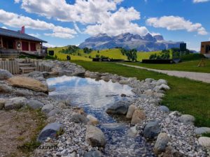 Moviment Alta Badia: Piz la Ila, Piz Sorega e Pralongià, paradiso dei bambini