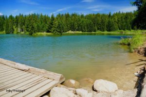 Al lago di Tret: idilliaca passeggiata per bambini in Val di Non