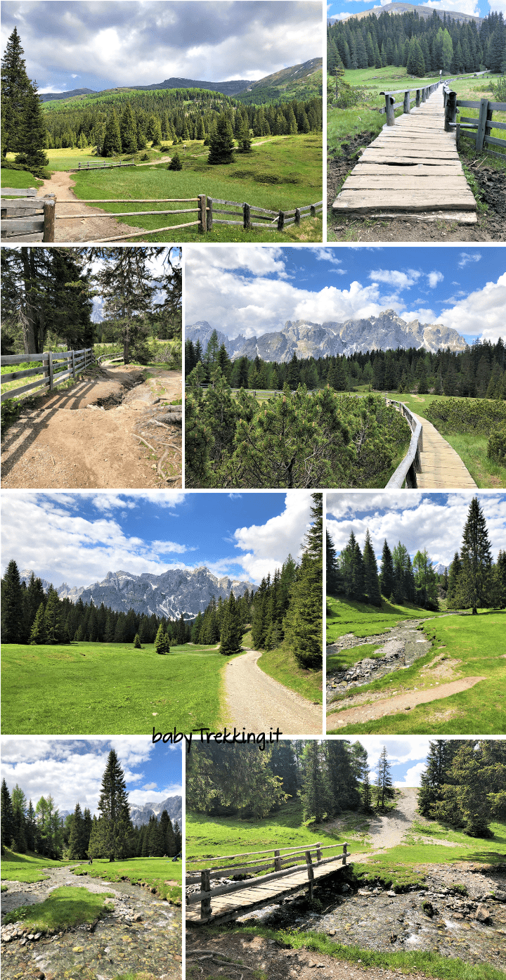 Alpe di Nemes e Malga Nemes, in Val Pusteria con passeggino e cani