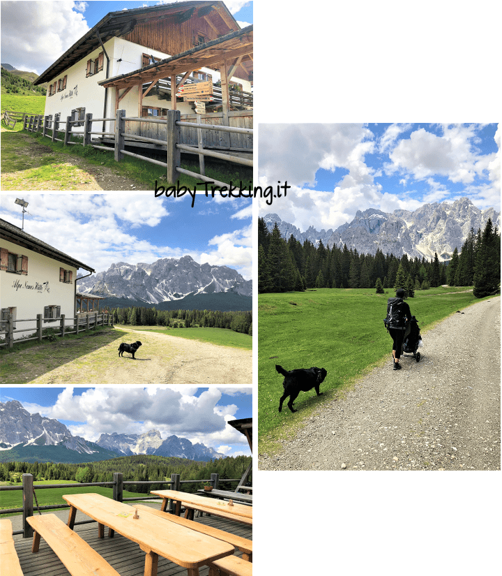 Alpe di Nemes e Malga Nemes, in Val Pusteria con passeggino e cani
