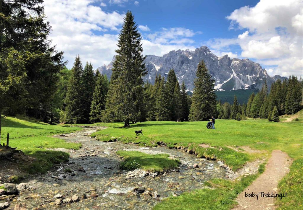 Alpe di Nemes e Malga Nemes, in Val Pusteria con passeggino e cani