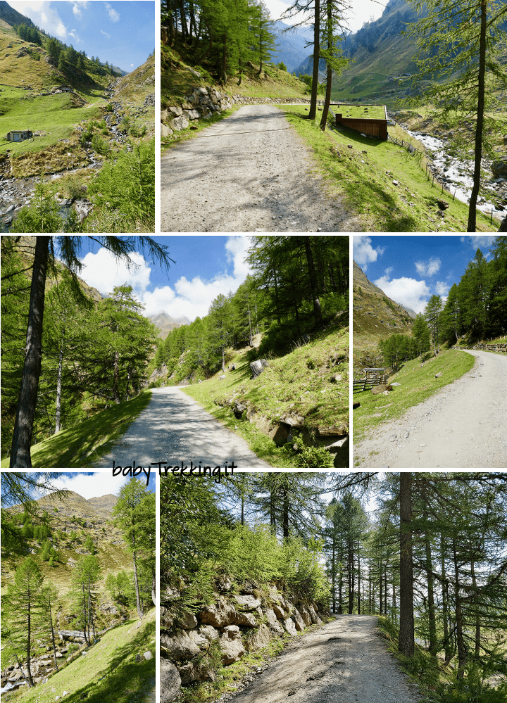 Timmelsalm: camminare in Val Passiria col passeggino